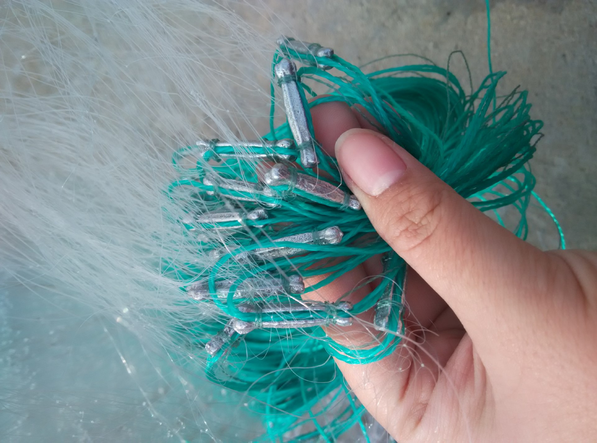 wangIMG_20161023_150029