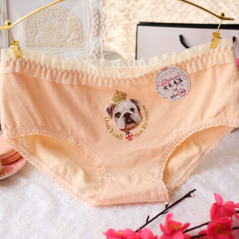 Slip jeune A035 en coton - Ref 647956 Image 16