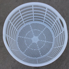 ���ϻj�S�����l�L�������Ͽ����;�߲�ˮ���������D��