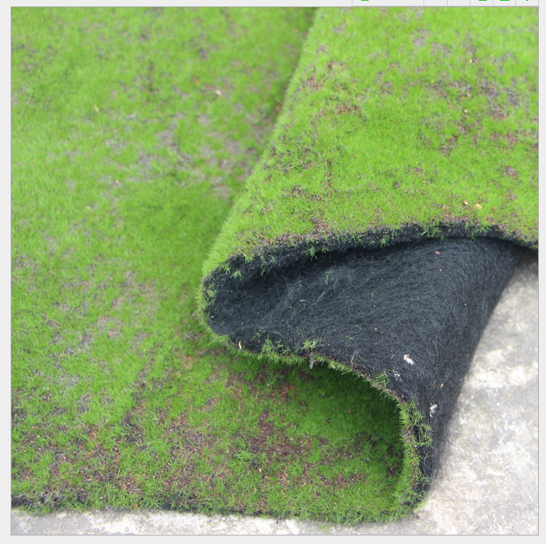 TB2_f56gXXXXXbCXXXXXXXXXXXX_!!