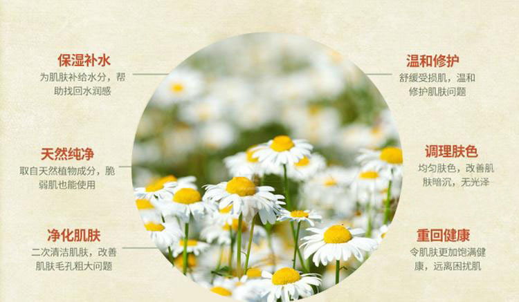廠家洋甘菊純露 補(bǔ)水保濕收縮毛孔控油純露 化妝品oem加工定制款