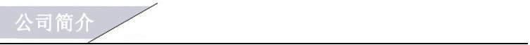 公司简介