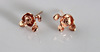 Golden fashionable earrings, silver 925 sample, flowered, pink gold, wholesale, Korean style
