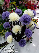 򻨷滨 ϵFҾӔ[Żcbز廨ٻl