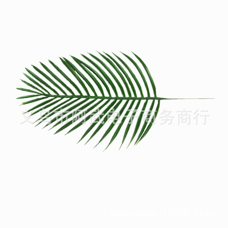 IMG_1057_副本