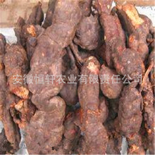 ���lș�ķN�� ���מ��N�� ���מ���������� �m���V �׹���