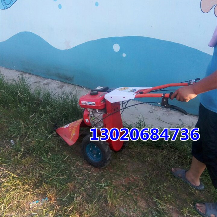 剪草机 手推式剪草机