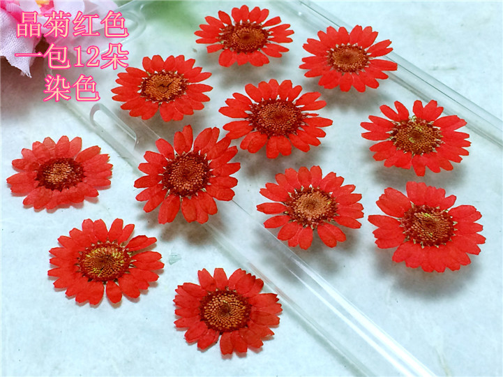 晶菊红色