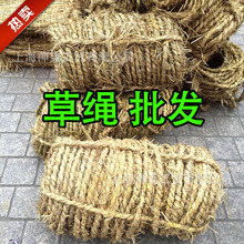 ���NҎ�� ���K �����K �G�����K �����ľ�������K�������K