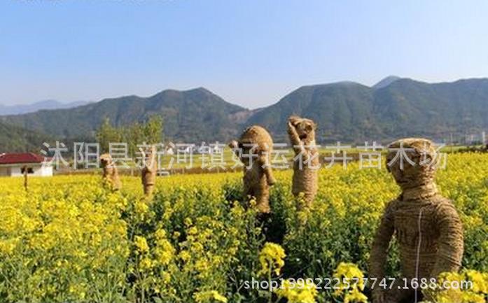 360截圖20160503101415588