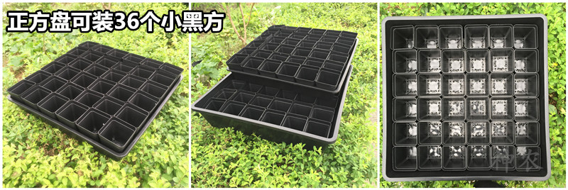 IMG_1074 - 副本_副本_副本