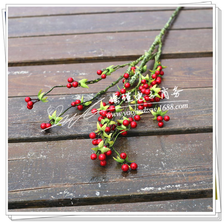 青藤文学网_青藤文学网供应商_青藤文学网批