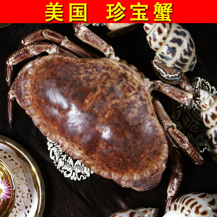 一手货源 婚宴喜宴常用 肉质饱满【深海野生】活冻 美国 珍宝蟹|ms