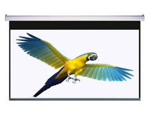 ����84��4��3늄�Ļ/ͶӰĻ��/����