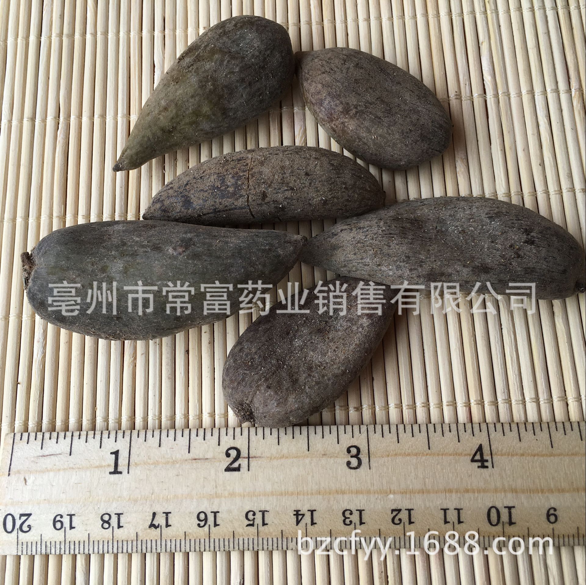 Chinese Gall Wuzhizi 五倍子 Dried Herb 500g Traditional TCM Decoction Ingredient Hunan Origin key features