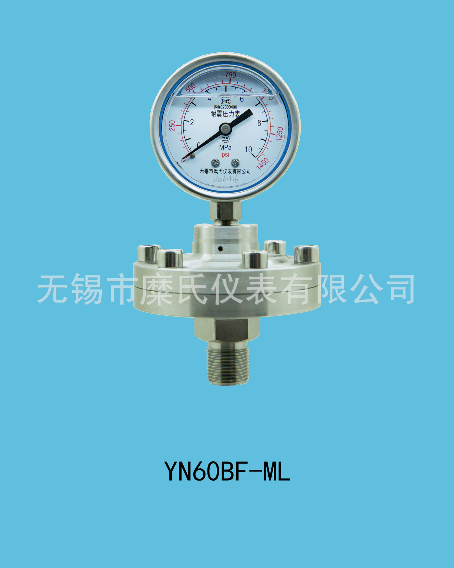 60隔膜压力表 YN60BFML  螺纹式隔膜压力表