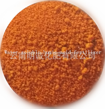 腐殖酸水溶肥