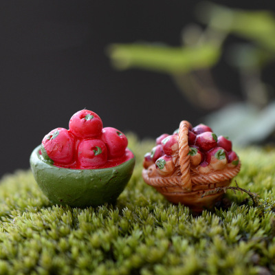 Succulent plants Cold platter Decoration Bumper Fruits Basket Apple/Hawthorn decoration DIY Decorative Materials