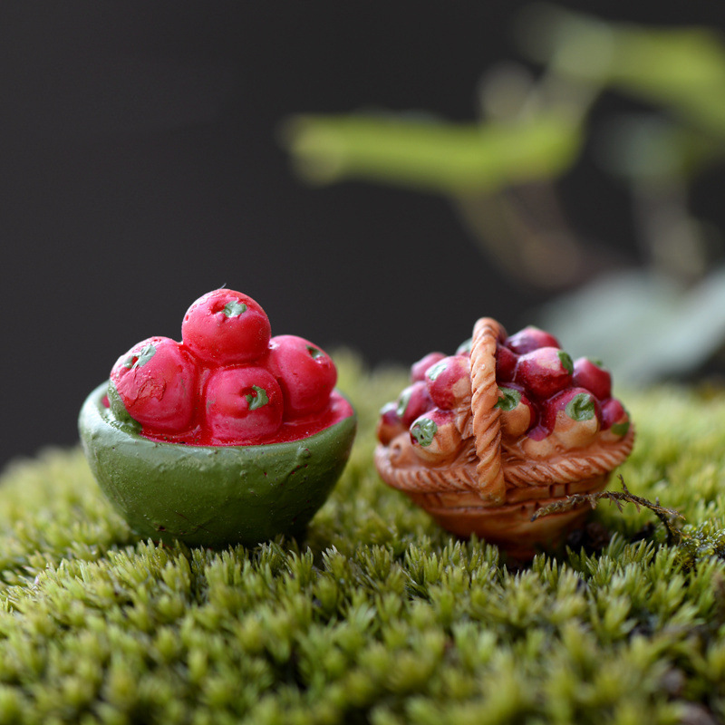Succulent plants Cold platter Decoration Bumper Fruits Basket Apple/Hawthorn decoration DIY Decorative Materials
