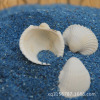 Home Decoration of Natural Conch shell Specials Special Scallops Aquarius Decoration of Sea Sand Bird Tail Clade White Scallop