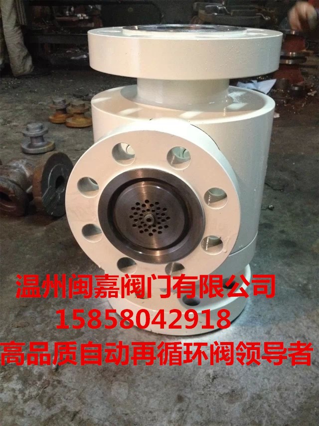 HDZDM自动再循环阀(***小流量控制阀）