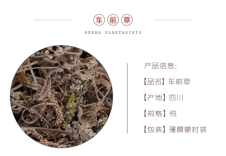 Dried Plantain Herb Che Qian Cao Whole Herb 500g Traditional Herbal Tea and Decoction Ingredient overview