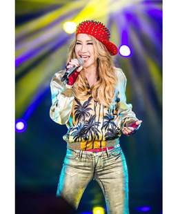 李玟图片_李玟图片大全 - 阿里巴巴海量精选高