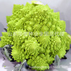 Yellow Tower Caerry Seeds Improved Yellow Malle Pagoda Cauliflower Vercycolic Vegetable Vegetable Seed Spring and Autumn