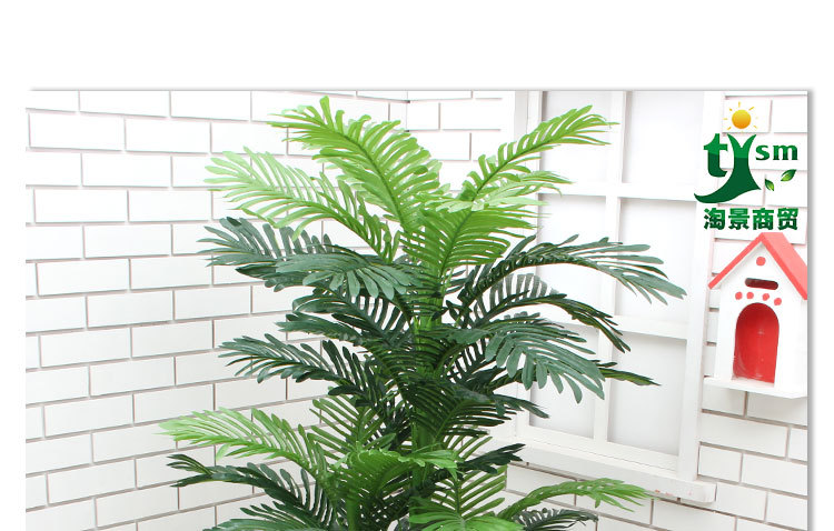 Маленькая голова дерева Трехно -голова подсолнечника Дерево_15