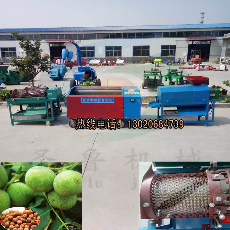青核桃清洗去皮机