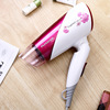 Shanghai agent Flying Branch FH6651 Hair dryer constant temperature Overheat protection 1600w