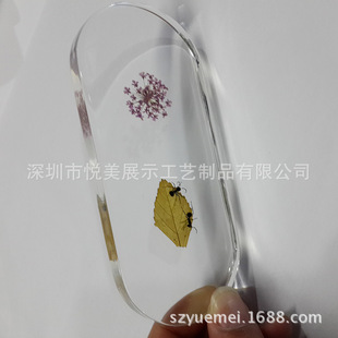 ������͸��ˮ���z�������֦�˱� ͸����֬�������~С��������
