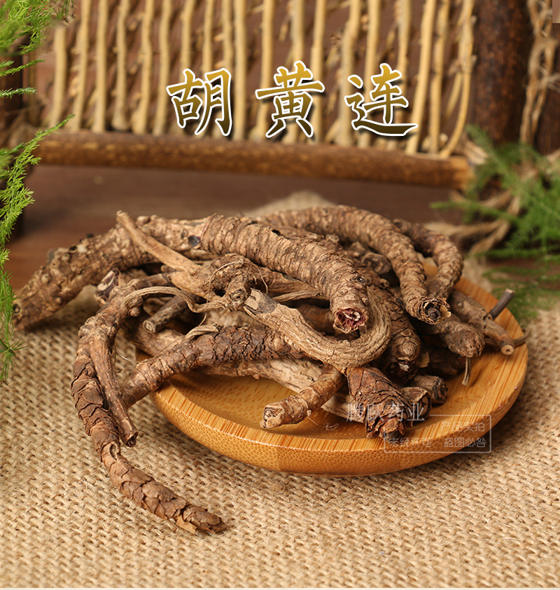Picrorhiza Rhizome Hu Huang Lian Dried TCM Herb for Decoction 500g overview