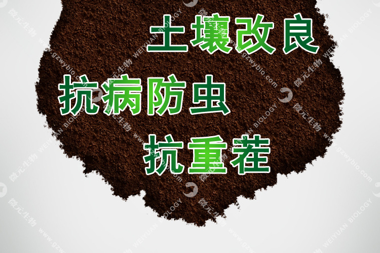 土壤修复改良剂_004