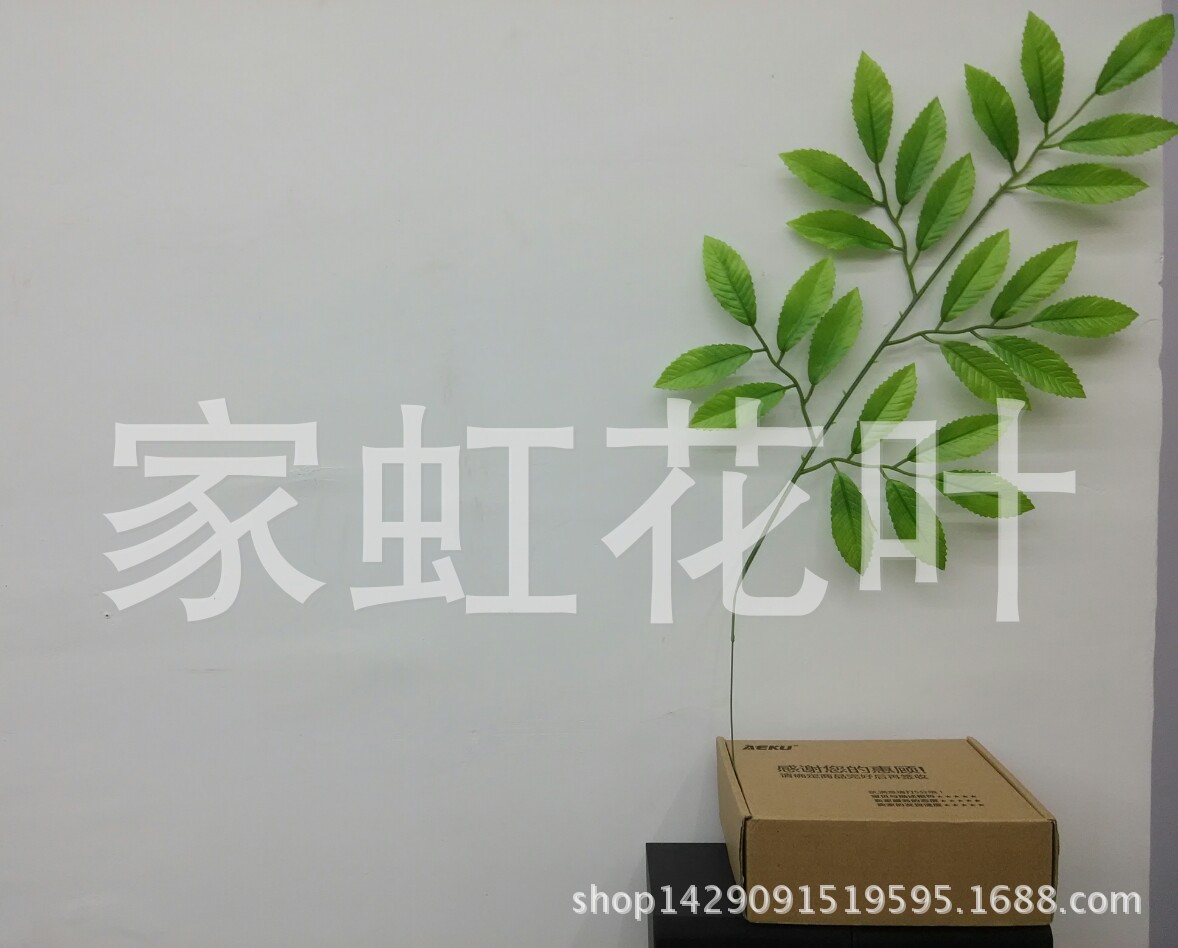 IMG_20151124_172301_1448357045