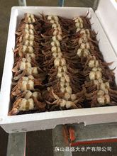 ȥ����з��з��ֻֻ�M���r����ζ�S�����l�������m�������ʳ