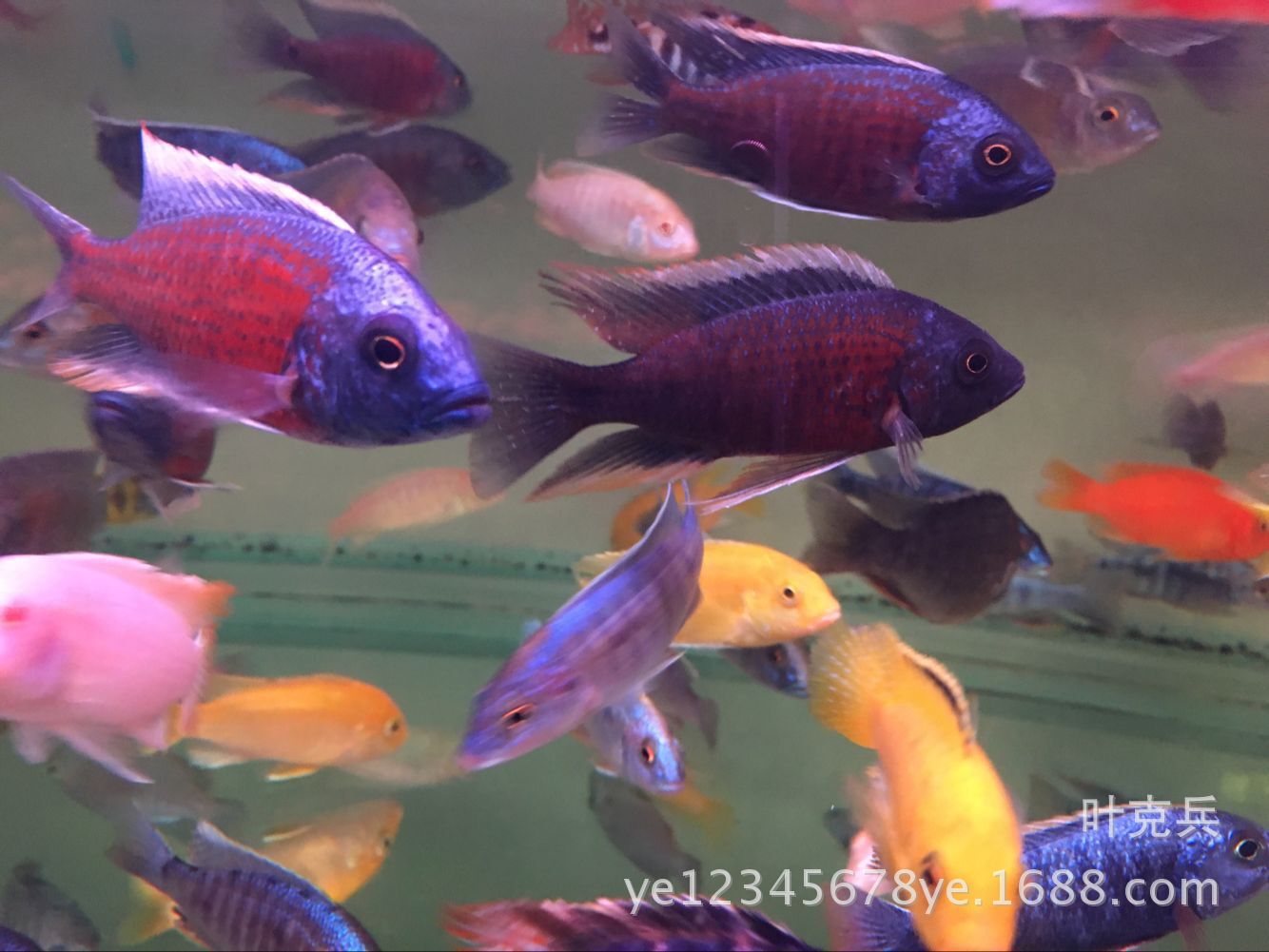 QQ图片20160307112204