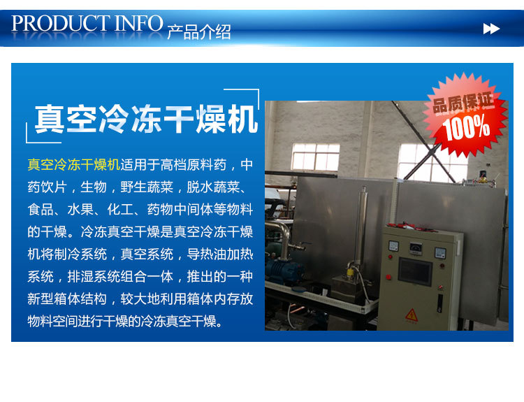 石家庄水果专用低温真空冷冻干燥机 厂家