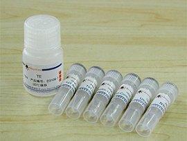 MHB0115 西蒙氏枸橼酸盐琼脂  250g