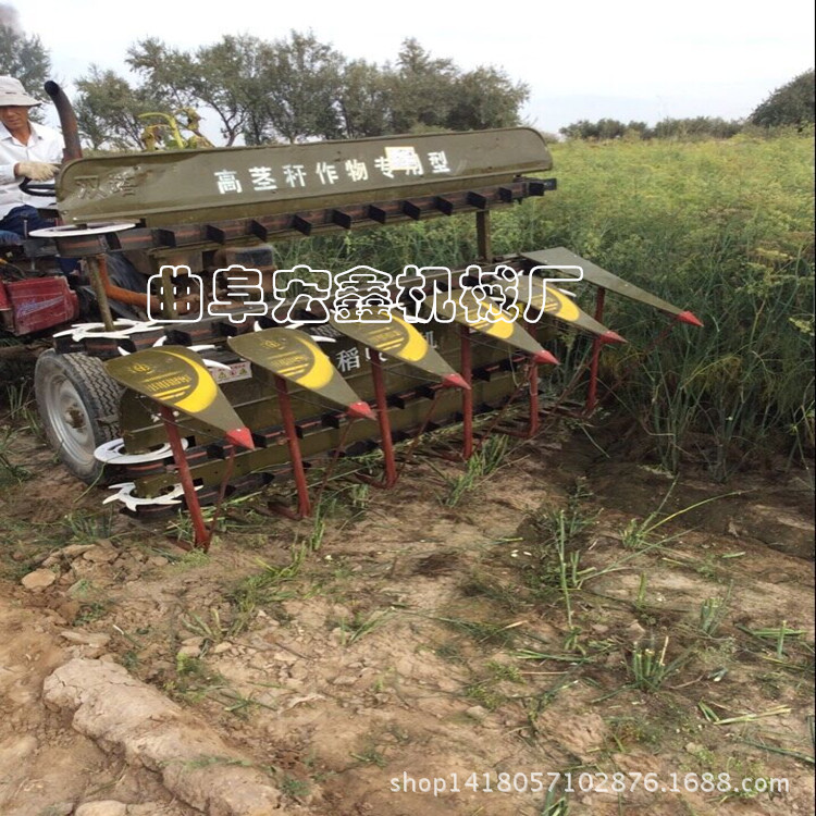 QQDƬ20150916080638_