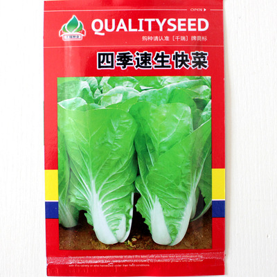 蔬菜种子_四季速生快菜 蔬菜种子盆栽 易种菜