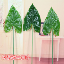 ���������~���l�����~�Ӳ廨ֲ��ٻ��廨�G�~���^�z�~�ӾG��ʯ