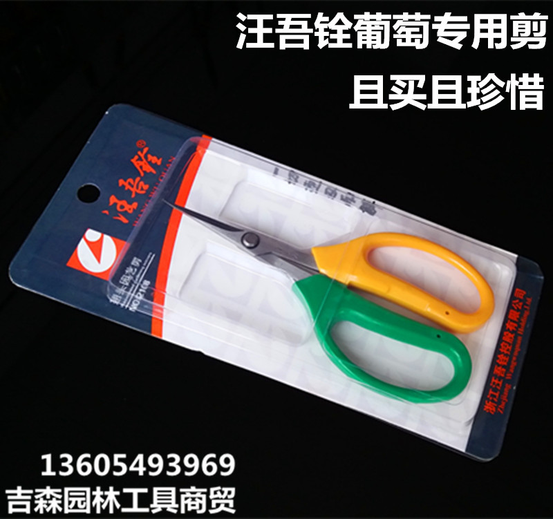 葡萄修果剪刀汪吾铨2108葡萄剪 翘头疏果 园艺 盆栽果枝剪刀批发