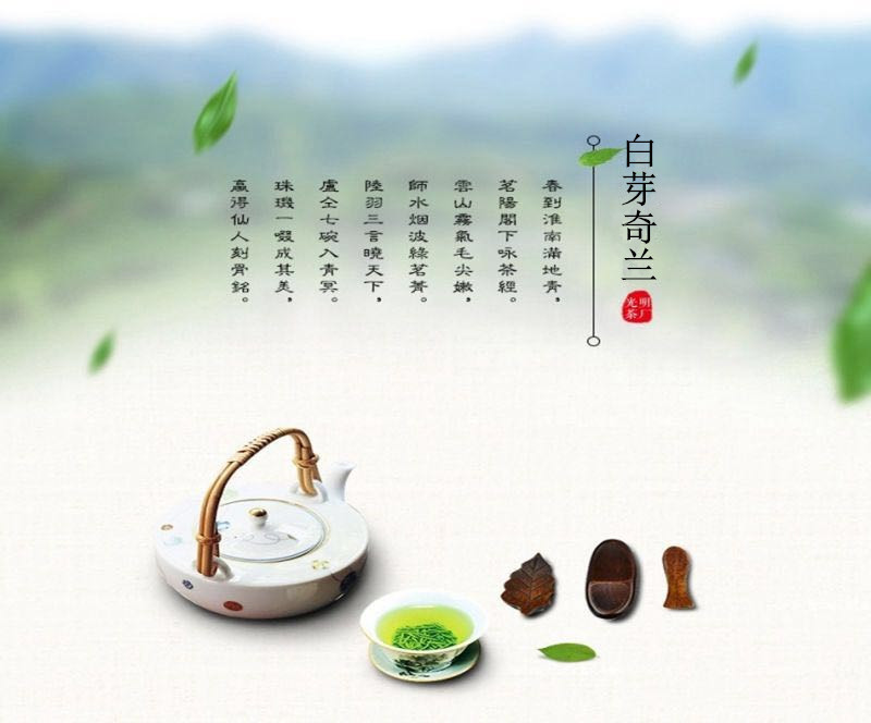 2323658997_840436845_副本