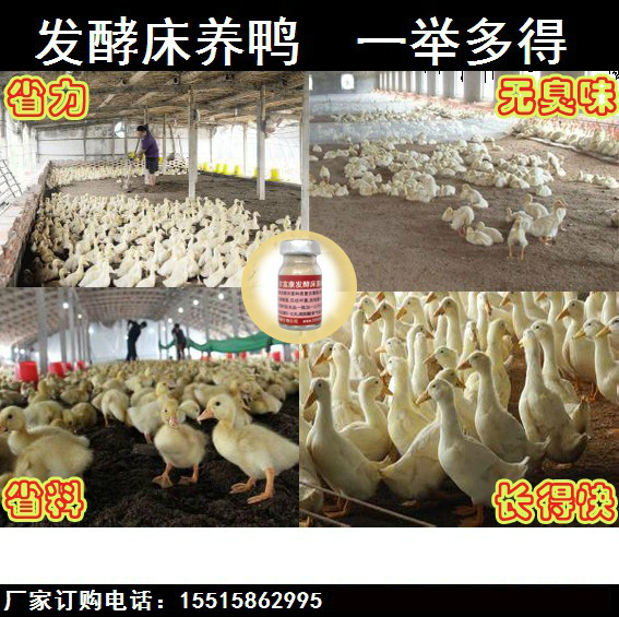 ���ʹ���Ѽ��