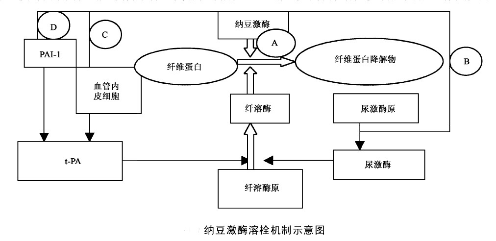 QQ20160421102510