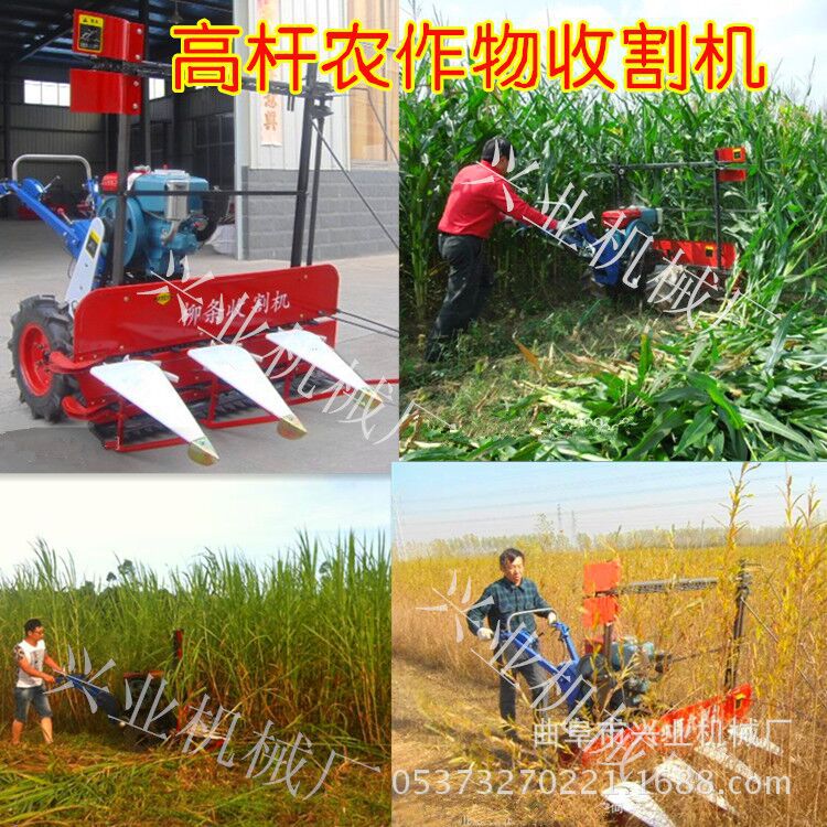 厂家直销玉米桔杆收割机 多功能辣椒收割机厂家
