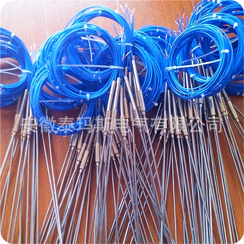 WZPK-101铠装热电阻 热电阻 铠装热电阻 泰玛斯