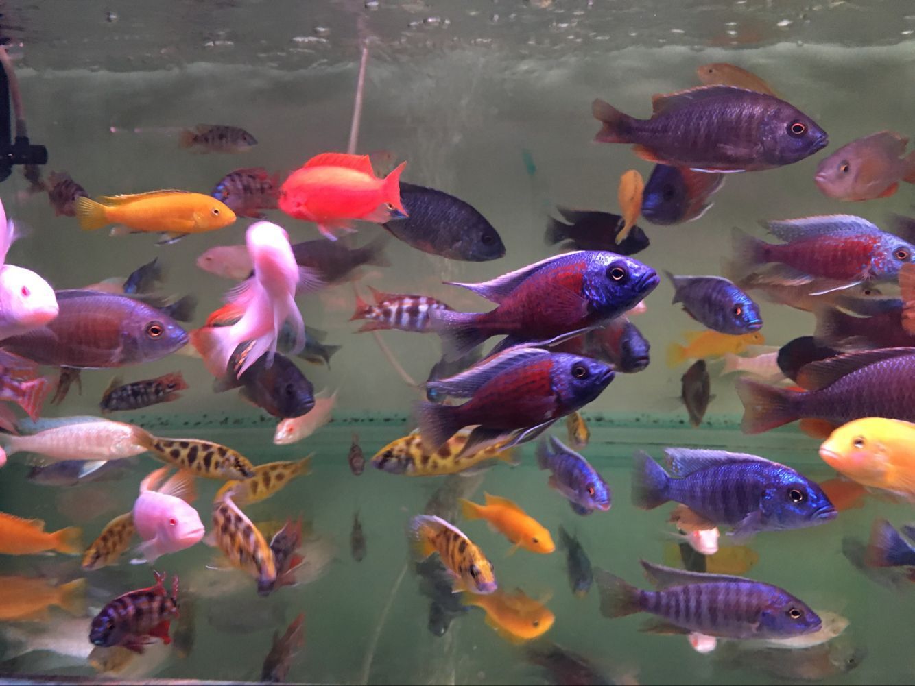 QQ图片20160307112209