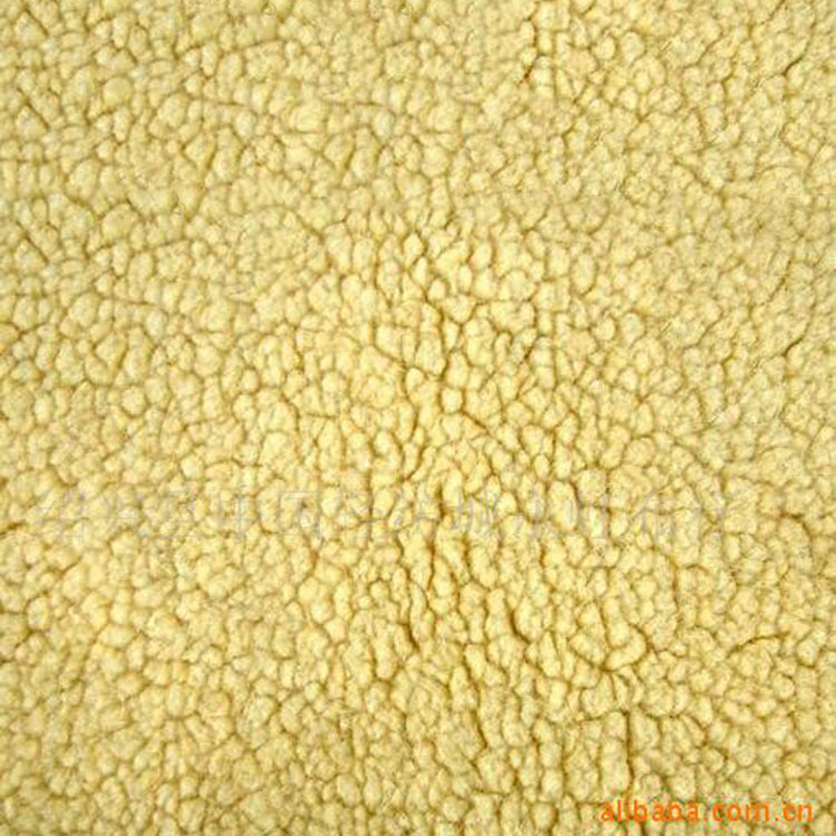 供应羊羔绒 仿羊羔绒针织面料绒布   涤冬季纬编染色家居家纺用布